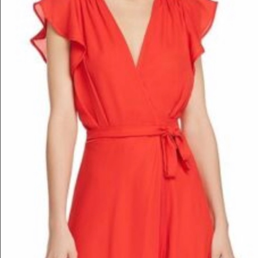 PPLA Dress - Picture 2 of 5